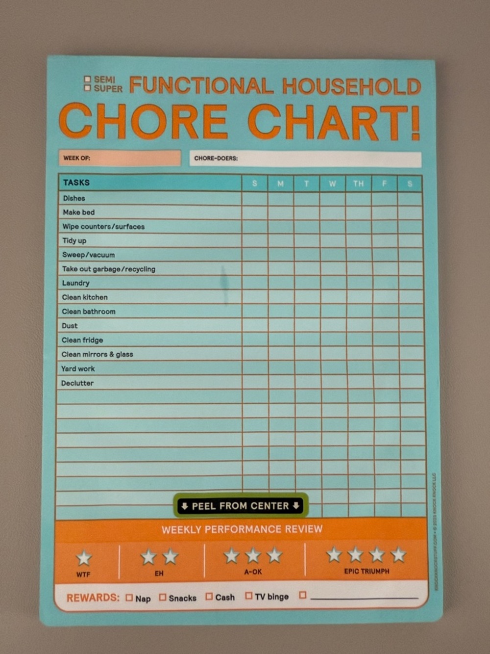 Knock Knock Teal and Orange Chore Chart